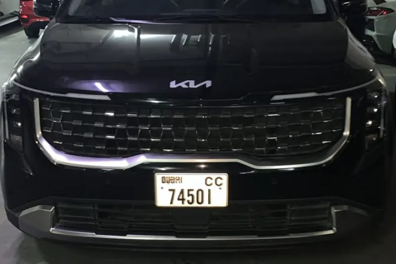 KIA Carnival 2025 #1